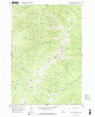 Pollock Mountain Idaho Historical topographic map, 1:24000 scale, 7.5 X 7.5 Minute, Year 1963
