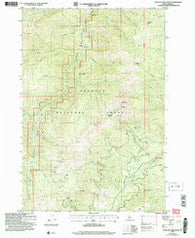 Pollock Mountain Idaho Historical topographic map, 1:24000 scale, 7.5 X 7.5 Minute, Year 2004
