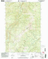 Pollock Mountain Idaho Historical topographic map, 1:24000 scale, 7.5 X 7.5 Minute, Year 2004