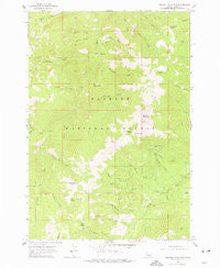 Pollock Mountain Idaho Historical topographic map, 1:24000 scale, 7.5 X 7.5 Minute, Year 1963
