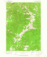 Pollock Mountain Idaho Historical topographic map, 1:24000 scale, 7.5 X 7.5 Minute, Year 1963