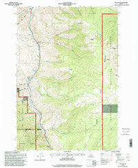 Pollock Idaho Historical topographic map, 1:24000 scale, 7.5 X 7.5 Minute, Year 1995