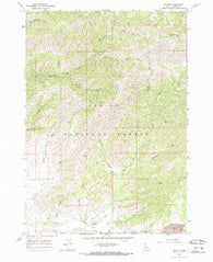 Prairie Idaho Historical topographic map, 1:24000 scale, 7.5 X 7.5 Minute, Year 1964