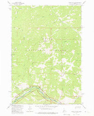 Pungo Mountain Idaho Historical topographic map, 1:24000 scale, 7.5 X 7.5 Minute, Year 1973