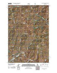 Pungo Mountain Idaho Historical topographic map, 1:24000 scale, 7.5 X 7.5 Minute, Year 2011