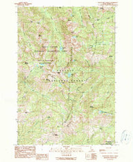 Purgatory Saddle Idaho Historical topographic map, 1:24000 scale, 7.5 X 7.5 Minute, Year 1990