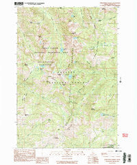 Purgatory Saddle Idaho Historical topographic map, 1:24000 scale, 7.5 X 7.5 Minute, Year 1990