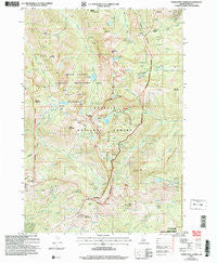 Purgatory Saddle Idaho Historical topographic map, 1:24000 scale, 7.5 X 7.5 Minute, Year 2004