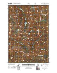 Purgatory Saddle Idaho Historical topographic map, 1:24000 scale, 7.5 X 7.5 Minute, Year 2011