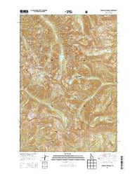 Purgatory Saddle Idaho Current topographic map, 1:24000 scale, 7.5 X 7.5 Minute, Year 2013