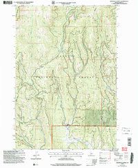 Railroad Saddle Idaho Historical topographic map, 1:24000 scale, 7.5 X 7.5 Minute, Year 2004