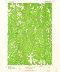 Railroad Saddle Idaho Historical topographic map, 1:24000 scale, 7.5 X 7.5 Minute, Year 1963