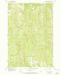 Railroad Saddle Idaho Historical topographic map, 1:24000 scale, 7.5 X 7.5 Minute, Year 1963