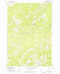 Rainbow Peak Idaho Historical topographic map, 1:24000 scale, 7.5 X 7.5 Minute, Year 1973