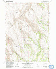 Rams Horn Ridge Idaho Historical topographic map, 1:24000 scale, 7.5 X 7.5 Minute, Year 1965