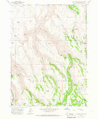 Rams Horn Ridge Idaho Historical topographic map, 1:24000 scale, 7.5 X 7.5 Minute, Year 1965