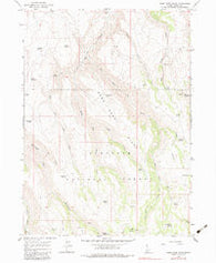 Rams Horn Ridge Idaho Historical topographic map, 1:24000 scale, 7.5 X 7.5 Minute, Year 1965