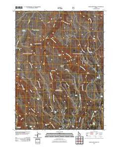 Rams Horn Ridge Idaho Historical topographic map, 1:24000 scale, 7.5 X 7.5 Minute, Year 2011