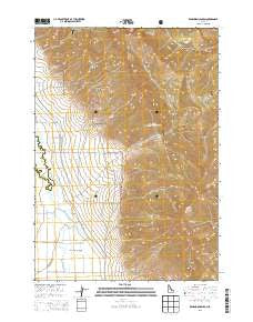 Ramshorn Canyon Idaho Current topographic map, 1:24000 scale, 7.5 X 7.5 Minute, Year 2013