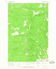 Ranger Peak Idaho Historical topographic map, 1:24000 scale, 7.5 X 7.5 Minute, Year 1964