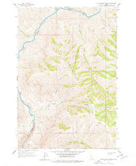 Rattlesnake Ridge Idaho Historical topographic map, 1:24000 scale, 7.5 X 7.5 Minute, Year 1963