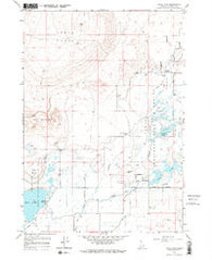Rays Lake Idaho Historical topographic map, 1:24000 scale, 7.5 X 7.5 Minute, Year 1964