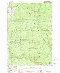 Reas Pass Idaho Historical topographic map, 1:24000 scale, 7.5 X 7.5 Minute, Year 1986