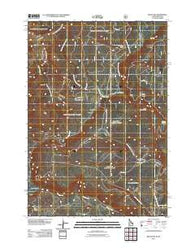 Reas Pass Idaho Historical topographic map, 1:24000 scale, 7.5 X 7.5 Minute, Year 2011