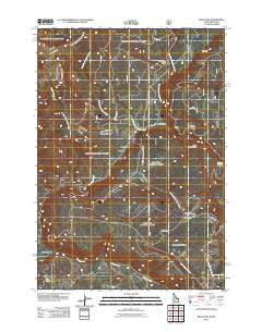 Reas Pass Idaho Historical topographic map, 1:24000 scale, 7.5 X 7.5 Minute, Year 2011