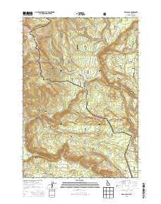 Reas Pass Idaho Current topographic map, 1:24000 scale, 7.5 X 7.5 Minute, Year 2013