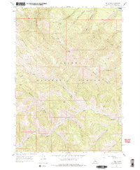 Red Ridge Idaho Historical topographic map, 1:24000 scale, 7.5 X 7.5 Minute, Year 1966