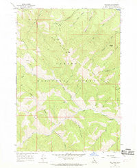 Red Ridge Idaho Historical topographic map, 1:24000 scale, 7.5 X 7.5 Minute, Year 1966