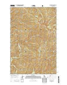 Red Ives Peak Idaho Current topographic map, 1:24000 scale, 7.5 X 7.5 Minute, Year 2013