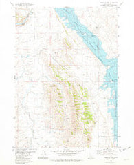 Reservoir Mtn Idaho Historical topographic map, 1:24000 scale, 7.5 X 7.5 Minute, Year 1981