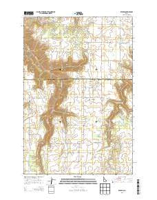 Reubens Idaho Current topographic map, 1:24000 scale, 7.5 X 7.5 Minute, Year 2013