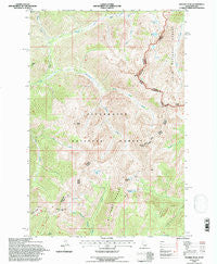 Rhodes Peak Idaho Historical topographic map, 1:24000 scale, 7.5 X 7.5 Minute, Year 1994