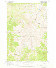 Rhodes Peak Idaho Historical topographic map, 1:24000 scale, 7.5 X 7.5 Minute, Year 1966