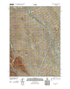 Richard Butte Idaho Historical topographic map, 1:24000 scale, 7.5 X 7.5 Minute, Year 2010