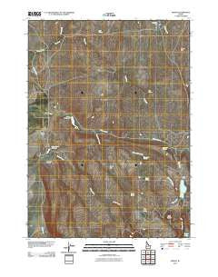 Riddle Idaho Historical topographic map, 1:24000 scale, 7.5 X 7.5 Minute, Year 2010