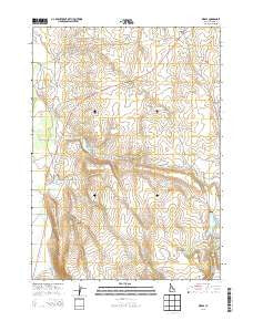 Riddle Idaho Current topographic map, 1:24000 scale, 7.5 X 7.5 Minute, Year 2013