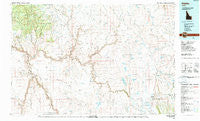 Riddle Idaho Historical topographic map, 1:100000 scale, 30 X 60 Minute, Year 1989