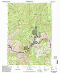 Riggins Hot Springs Idaho Historical topographic map, 1:24000 scale, 7.5 X 7.5 Minute, Year 1995