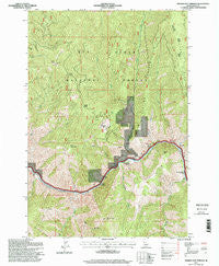 Riggins Hot Springs Idaho Historical topographic map, 1:24000 scale, 7.5 X 7.5 Minute, Year 1995