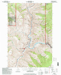 Riggins Idaho Historical topographic map, 1:24000 scale, 7.5 X 7.5 Minute, Year 1995