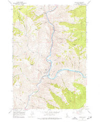 Riggins Idaho Historical topographic map, 1:24000 scale, 7.5 X 7.5 Minute, Year 1964