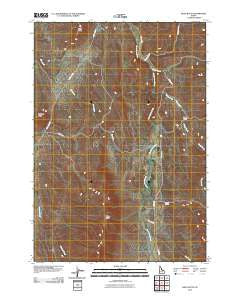 Riley Butte Idaho Historical topographic map, 1:24000 scale, 7.5 X 7.5 Minute, Year 2010