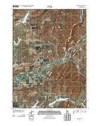 Riverdale Idaho Historical topographic map, 1:24000 scale, 7.5 X 7.5 Minute, Year 2010