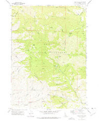 Robie Creek Idaho Historical topographic map, 1:24000 scale, 7.5 X 7.5 Minute, Year 1972