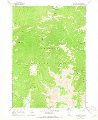 Robinson Bar Idaho Historical topographic map, 1:24000 scale, 7.5 X 7.5 Minute, Year 1964