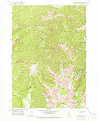 Robinson Bar Idaho Historical topographic map, 1:24000 scale, 7.5 X 7.5 Minute, Year 1964